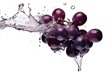 Black or dark red grape in water splash isolated on transparent background.