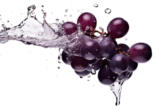 Black or dark red grape in water splash isolated on transparent background.