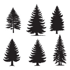 Obraz premium Isolated tree on the white background. Tree silhouettes. set of tree pine silhouette collections. Set for the design of various works, brochures, posters. 