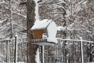 Obraz na płótnie Canvas Birdhouse covered with snow on the tree. Picture of winter snowy Magadan city, Russia.