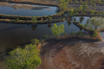 Rice fields and embankments are dry due to the dry season