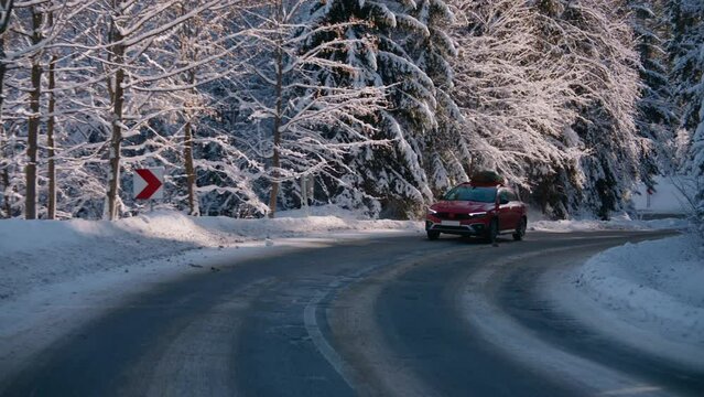 TRACKING Family driving home with a Christmas tree tied to a roof of a generic red car against beautiful mountain landscape