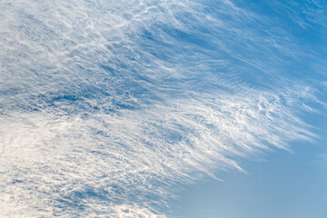 Linear fluffy clouds on light blue sky, Cirrus fibratus calm cloudscape