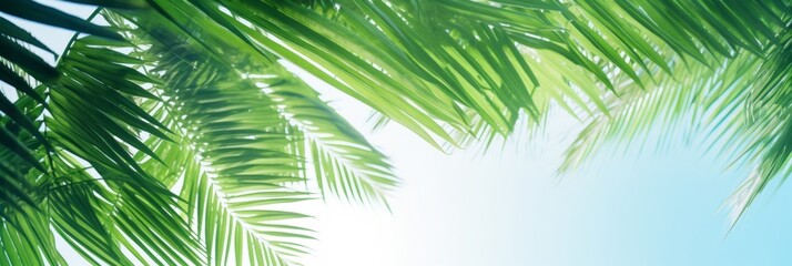 Lush palm leaves create a bright and relaxing backdrop