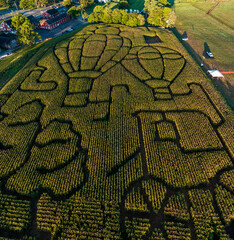 Beautiful Aerial View of Agricultural Pattern, Craved into a Core Field, Making a Maze, no people...