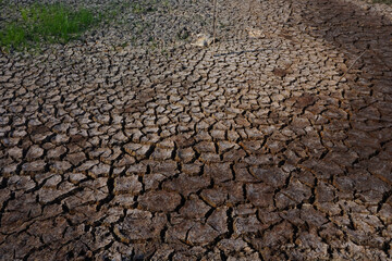 dry soil texture in the dry season
