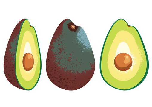 Illustrated avocado sliced whole graphic icon isolated on a white background