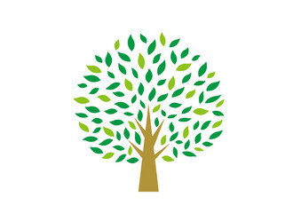 Naklejka premium Big Tree,illustrated,green leaves