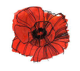 A red poppy flower hand-painted in gouache and acrylic on a white background with black outline. A design element of fabric print, T-shirt, cosmetics packaging. Modern artistic botanical illustration