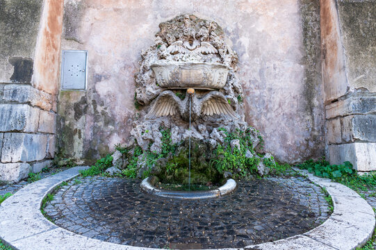 Beautiful ancient fountain shaped as a pigeon pouring water in an italian street