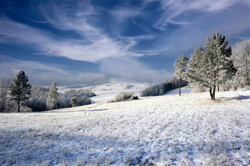 Winter mountains with trees covered by snow, a cold day in Low Beskids.