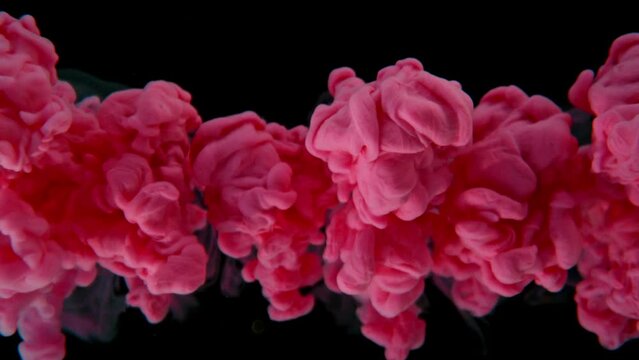 Super Slow Motion of Pink Paint Mixing in Water. Isolated on Black Background. Filmed on High Speed Cinema Camera, 1000fps.