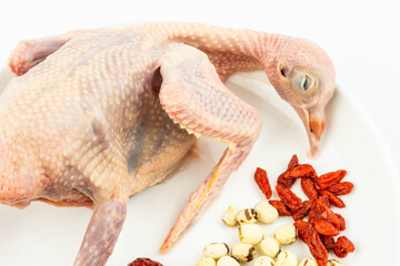 Fresh pigeon and Chinese herbal soup