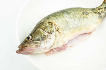 A fresh mandarin fish
