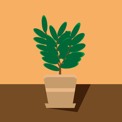 a large indoor flower in a beige pot