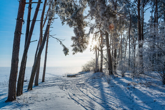Winding road in the frosty winter forest.