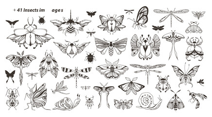 Mystical celestial moth, bug, beetle, dragonfly, butterfly, snail clip art bundle, magic black and white insects silhouettes in vector, hand drawn entomology isolated elements set - obrazy, fototapety, plakaty