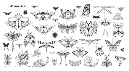 Fotobehang Mystical celestial moth, bug, beetle, dragonfly, butterfly, snail clip art bundle, magic black and white insects silhouettes in vector, hand drawn entomology isolated elements set © Maria Zamchiy 
