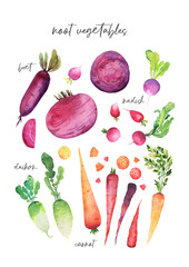 Watercolor png vegetable poster. Handdrawn fresh veggies. Colorfull bright summer set for print.
