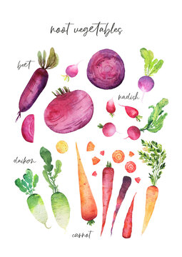Watercolor png vegetable poster. Handdrawn fresh veggies. Colorfull bright summer set for print.