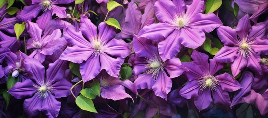 A Burst of Purple Blooms Amongst Vibrant Green Foliage Created With Generative AI Technology