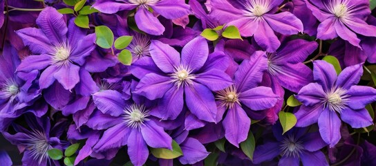 A Beautiful Bouquet of Vibrant Purple Flowers With Lush Green Leaves Created With Generative AI Technology