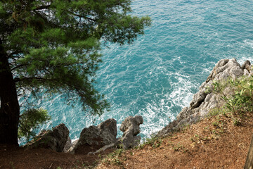 Sea surf at the rocky shore with pine, copy space