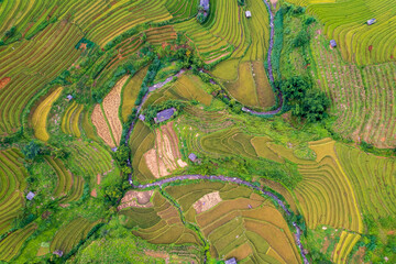 Vietnamese terrace ricefield aerial view