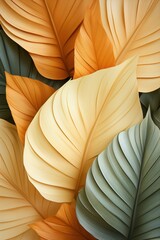 Subtle Beauty: Delicate Brown Banana Leaves Against a Clean White Background