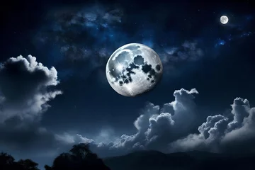 Washable wall murals Full moon and trees full moon on the sky, clouds on the sky