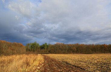 clouds over an agricultural field in autumn