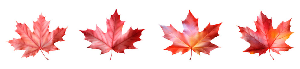 Collection of autumn leaves isolated on transparent background, Generative AI