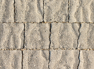 Texture of a concrete molded paving stones on a pedestrian walkway