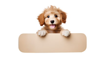 Dog with a sign, Cute dog holding a sign board and looking at the camera isolated on a transparent background, Generative AI