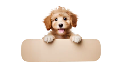 Ingelijste posters Dog with a sign, Cute dog holding a sign board and looking at the camera isolated on a transparent background, Generative AI © mizan