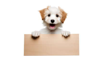 Dog with a sign, Cute dog holding a sign board and looking at the camera isolated on a transparent background, Generative AI