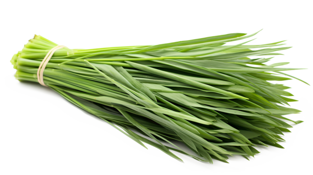 Lemongrass leaf bundle on a transparent background, Generative AI