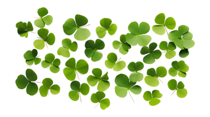 Realistic set of clover leaves isolated on a transparent background, Generative AI