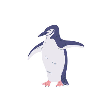 Penguin isolated on white, vector cartoon illustration in flat style.