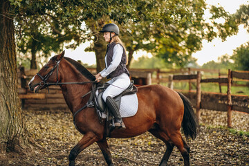 A young beautiful woman jockey is preparing for a show jumping competition. A woman rider rides a...