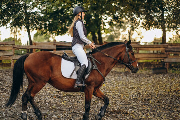 A young beautiful woman jockey is preparing for a show jumping competition. A woman rider rides a brown racehorse.