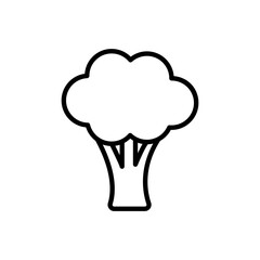 Broccoli icon. Simple outline style. Vegetable, plant, healthy, natural, organic, diet, fresh, food concept. Thin line symbol. Vector illustration isolated on white background.