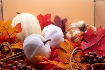 Obraz na płótnie Canvas Festive autumn halloween fall harvest background pumpkin's and squash. High quality photo