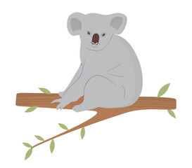 Cute Koala on Tree Branch. Flat illustration of wild Australian marsupial animal isolated on white background. Beautiful and cartoon Koala sitting on a tree branch. Wildlife Vector illustration