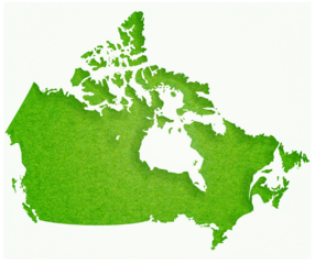 Map of Canada made with crumpled kraft paper. Handmade map with recycled material. Handmade map with recycled material. Green. Texture. Green. Green grass. Canada