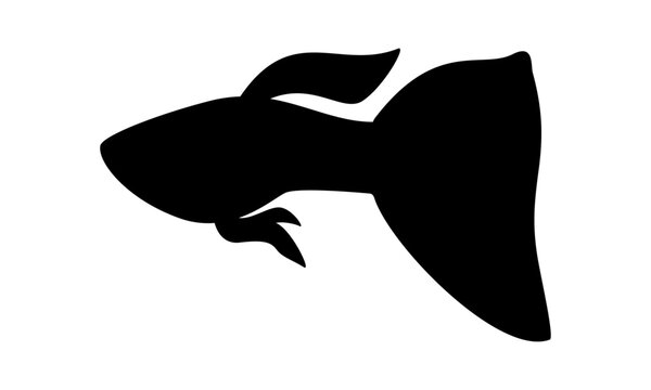 black guppy fish silhouette on white background clip art preview