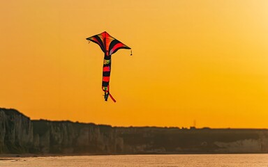 Fototapeta na wymiar silhouette of a kite in sunset