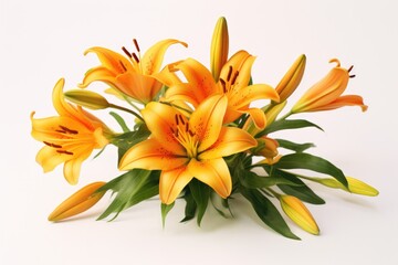 Autumn Beauty: Bouquet of Orange Lilies on Isolated White Background with Aroma of Nature
