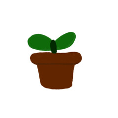 plant in a pot