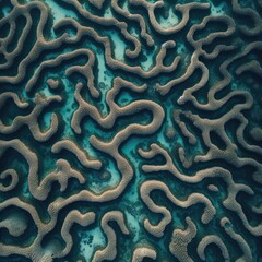 coral reef background